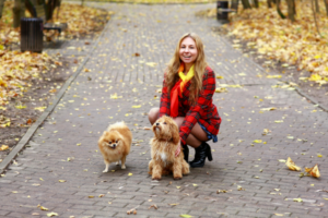 list those stains brighter smile houston tx